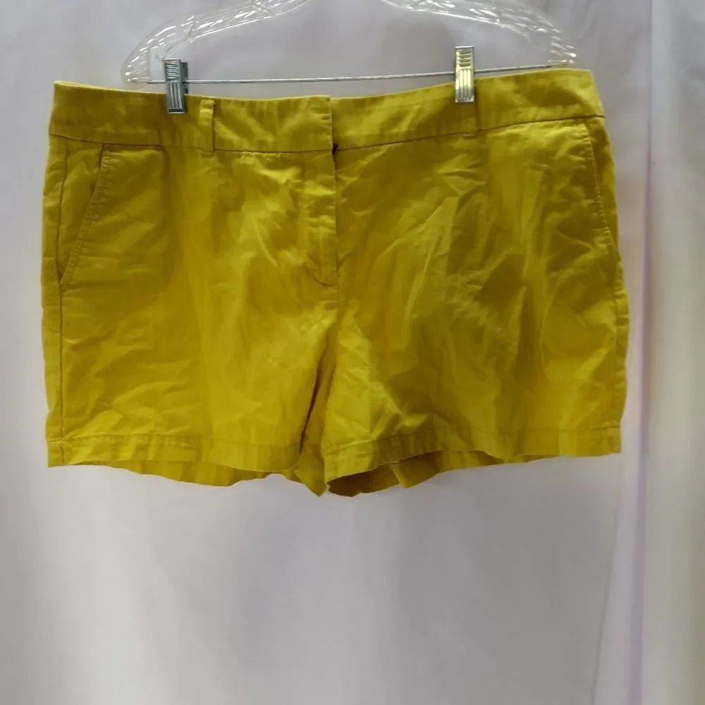 Loft shorts 